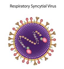 Cần cảnh giác khi nhiễm virus hợp bào hô hấp