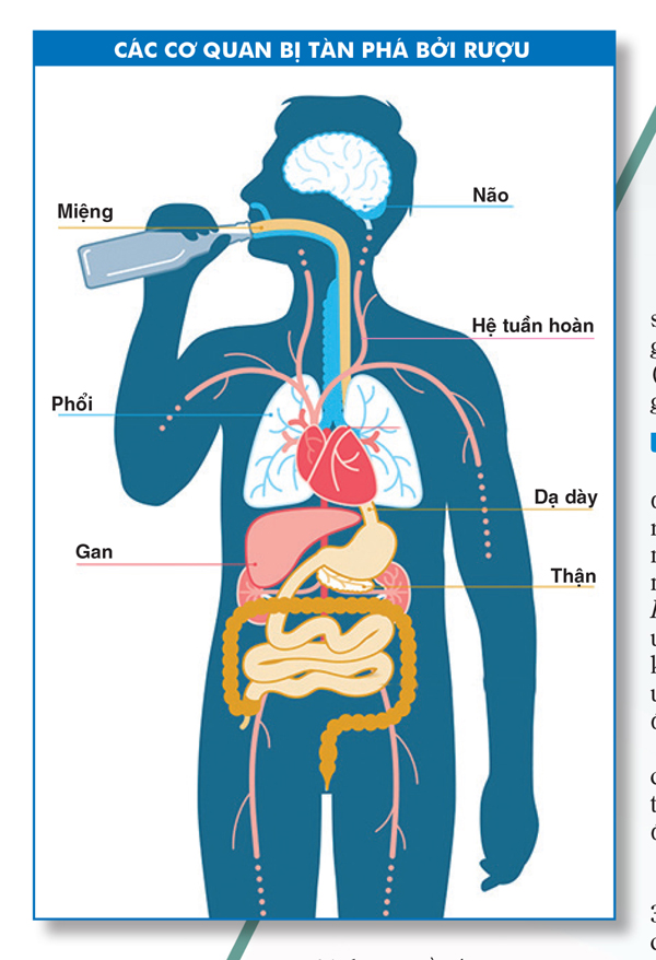 Đừng để sức khỏe “cõng” gánh nặng chén rượu đầu xuân