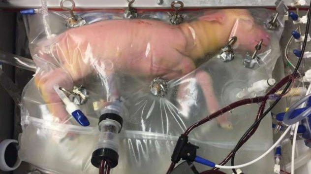 Những thí nghiệm khoa học gây nhiều tranh cãi nhất