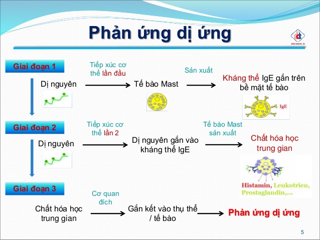 Để không còn nỗi lo dị ứng