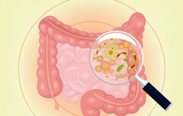 Ứng phó với các bất lợi thường gặp khi dùng kháng sinh