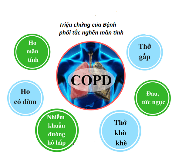 Bệnh phổi tắc nghẽn mạn tính (COPD)