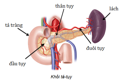 Ăn uống khoa học trong mùa nóng