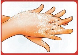 Để bảo vệ sức khỏe của mình, việc rửa tay đúng cách là rất quan trọng. Hãy xem hình ảnh để biết cách rửa tay đúng và hiệu quả nhất nhé!