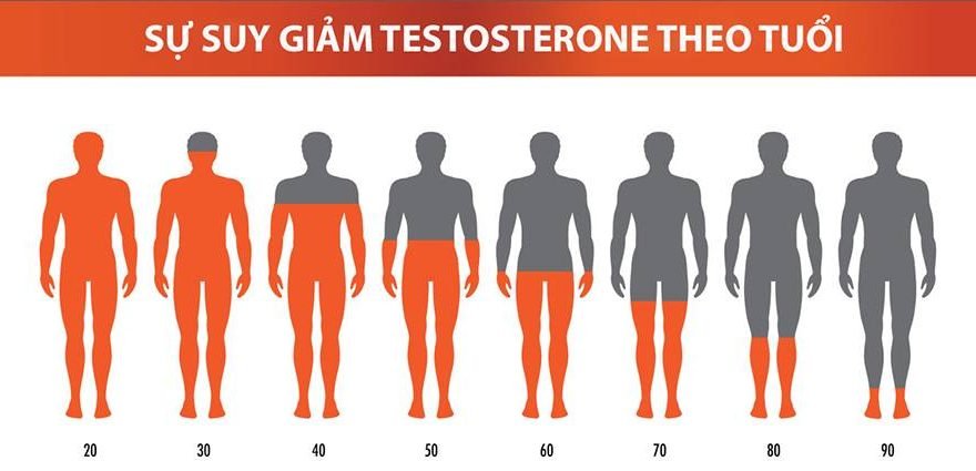 Mất cân bằng nội tiết tố nam: Nguyên nhân, Triệu chứng và Cách điều trị hiệu quả