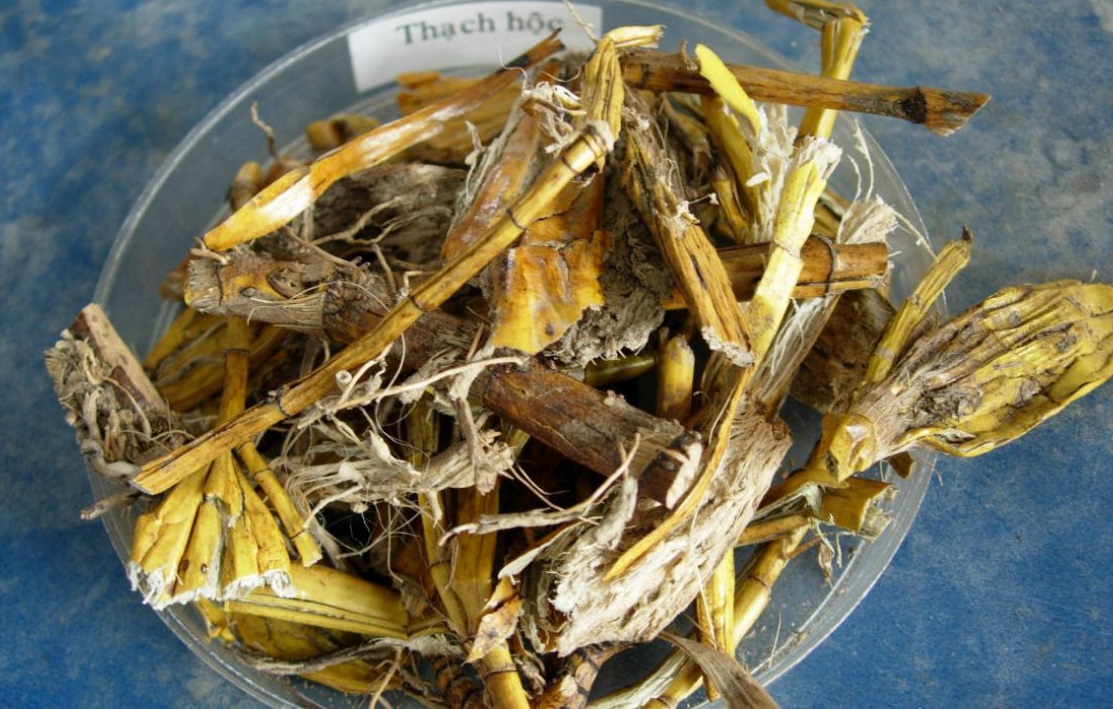 Thạch hộc giảm háo khát, chữa lao lực