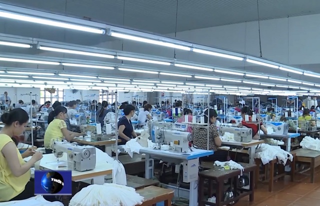 Chủ động phương án kinh doanh do tác động của dịch bệnh