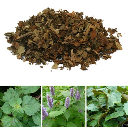 Bài thuốc trị chứng thấp ôn