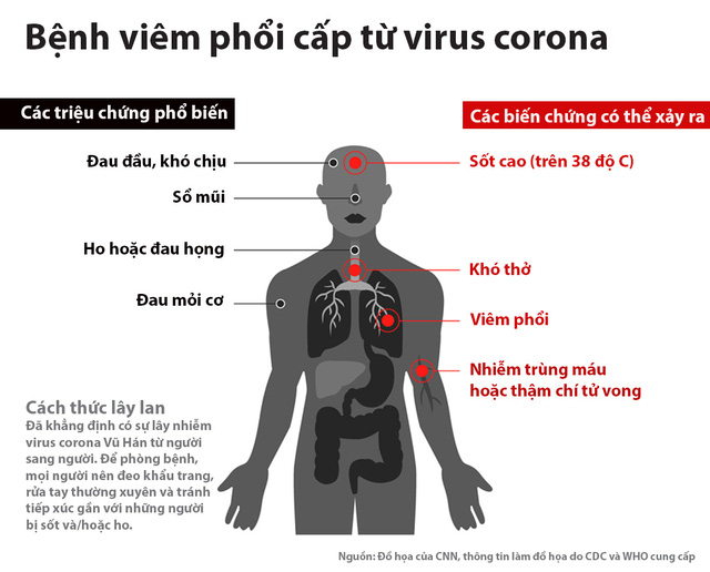 Các loại bệnh con người mắc phải từ động vật