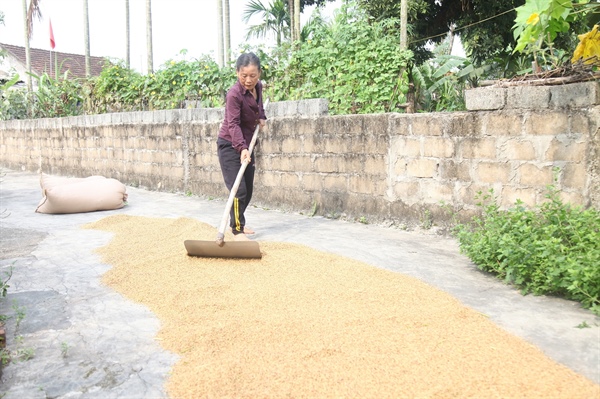 Tình người từ những lá đơn không nhận tiền hỗ trợ