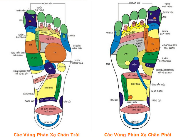 Xoa bóp bàn chân  trị bệnh và nâng cao sức khỏe