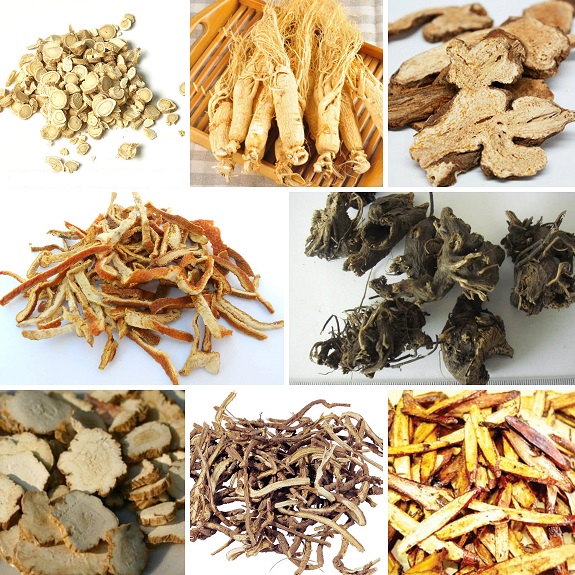 bo-trung-ich-khi