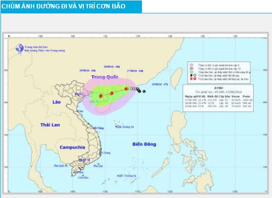 bao dien dong