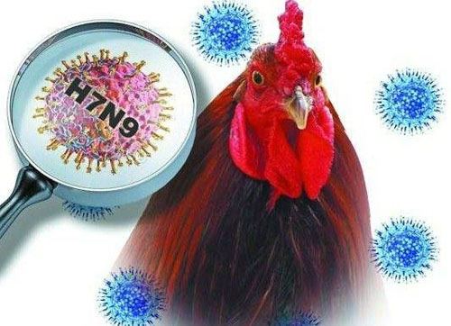 cúm A/H7N9