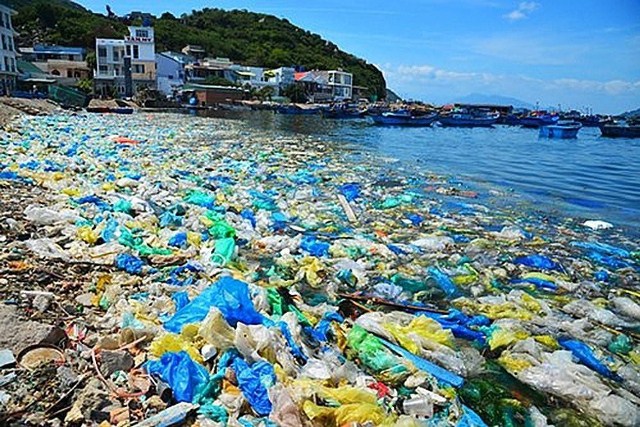 Sáng kiến thành lập Tổ chức tái chế bao bì để giảm ô nhiễm rác thải nhựa