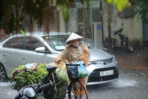 Cả nước có mưa, đề phòng ngập lụt vùng trũng và khu đô thị