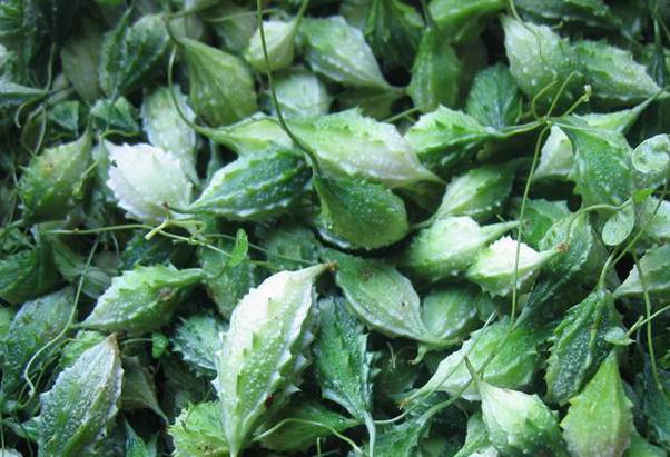 Uống trà khổ qua hàng ngày có tốt không?- Ảnh 3.