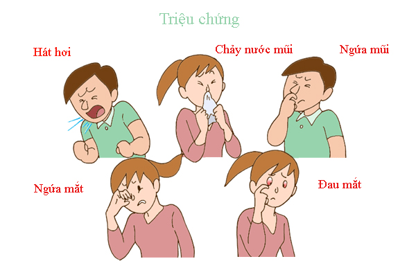 Chấm dứt viêm mũi dị ứng