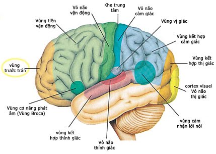 Suy Nhược Thần Kinh Tiếng Anh: Triệu Chứng, Nguyên Nhân và Phương Pháp Điều Trị