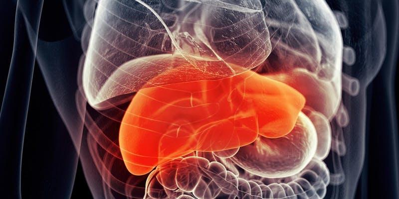 Nóng gan - và những triệu chứng ảnh hưởng đến sức khoẻ