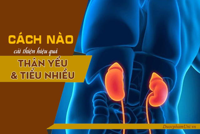 4. Phòng Ngừa Thận Yếu và Tiểu Đêm Nhiều