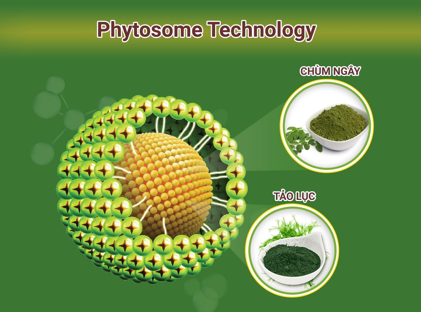 Thông tin về công nghệ phytosome