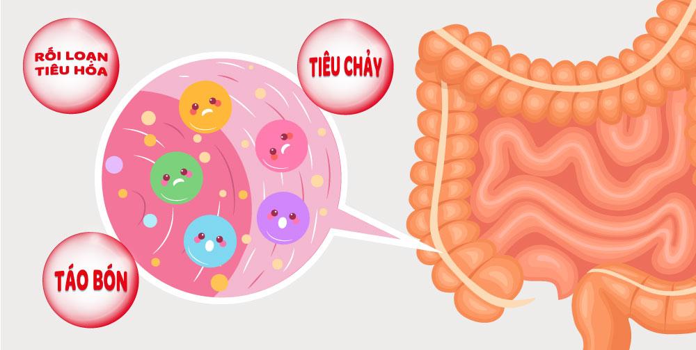 Hệ tiêu hóa và những vấn đề cần biết