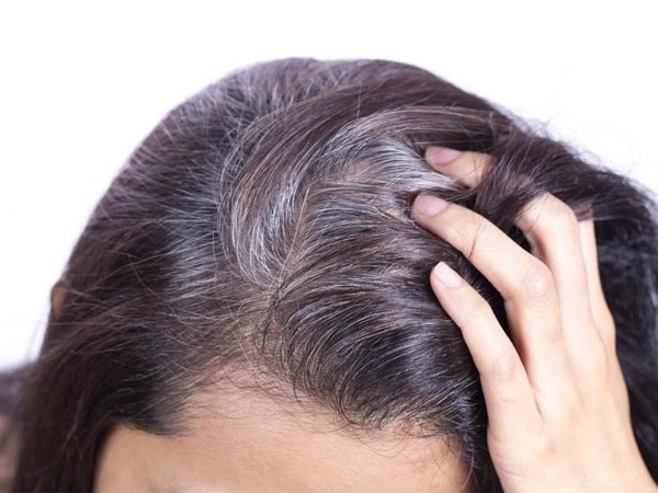 Nguyên nhân gây bạc tóc 4 phương pháp chữa tóc bạc sớm  Trường Tiểu học  Trảng Dài