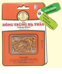 tang-cuong-va-nang-cao-suc-khoe-tu-dong-trung-ha-thao-1617338037