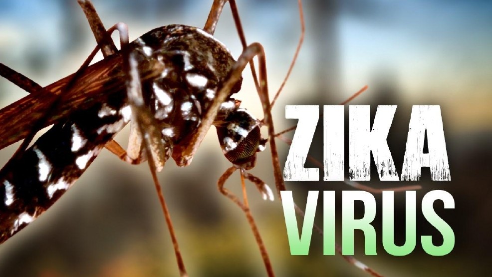 zika, diet muoi phong dich benh do virut zika