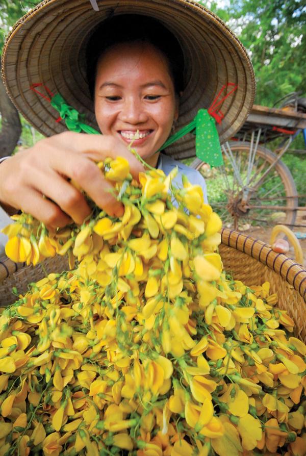 Bông điên điển hỗ trợ làm đẹp da như thế nào?- Ảnh 2. Bông điên điển hỗ trợ làm đẹp da như thế nào? - Ảnh 2.
