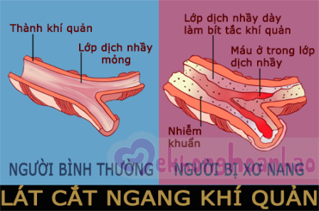 Nguồn Hỗ Trợ và Cộng Đồng