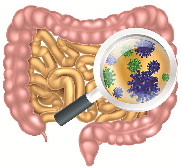 vi khuẩn đường ruột