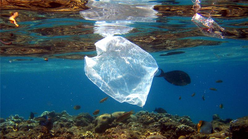 Năm 2050, rác thải nhựa trong đại dương nhiều hơn cá