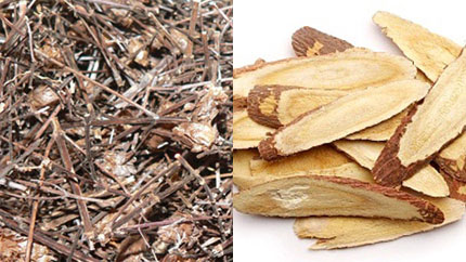 Cam thảo có nhiều tác dụng tốt cho cơ thể