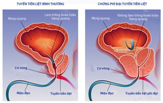 7. Kết luận