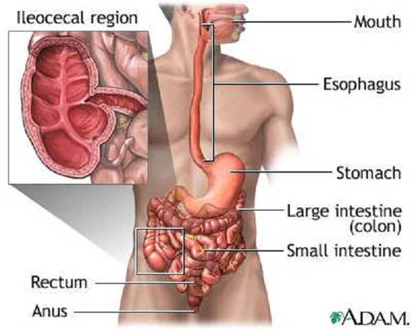 Phương pháp điều trị bệnh Crohn