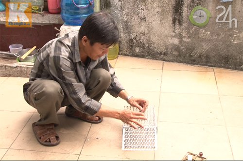 TP. HCM "ra quân" diệt chuột cống lông nâu mang mầm bệnh suy thận 1 TP. HCM "ra quân" diệt chuột cống lông nâu mang mầm bệnh suy thận 1