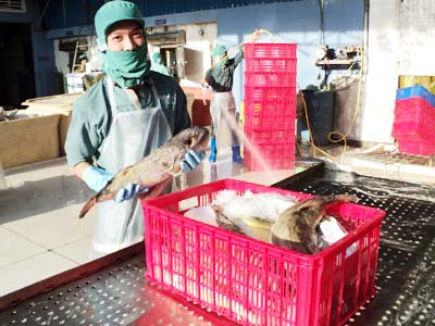 Ngày tàn của những “đại gia bong bóng” 1