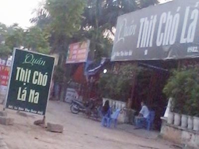 Ðình chỉ thi công vẫn mọc lên như nấm 1