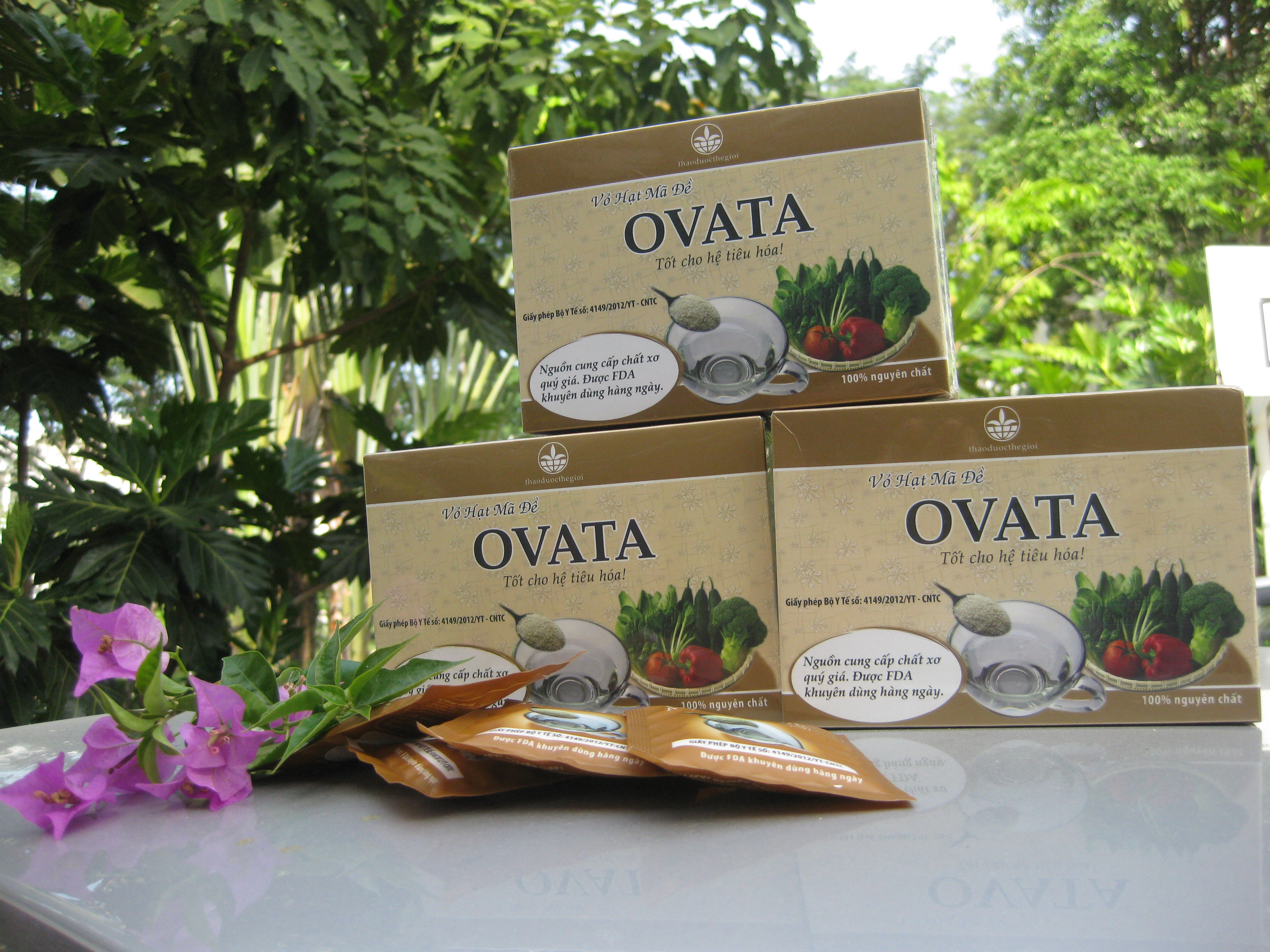 Thảo dược OVATA: Bạn đồng hành không thể thiếu với người bệnh trĩ 3
