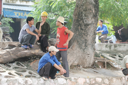 Lao động tự do: Nỗi lo thiếu việc, “treo niêu” 1