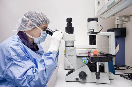 Sắp có vaccin ngăn chặn sự tiến triển của AIDS 2 Sắp có vaccin ngăn chặn sự tiến triển của AIDS 2