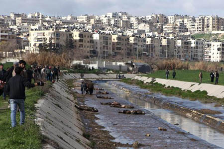 Kinh hoàng 81 thi thể bị trói tay tại Syria 2