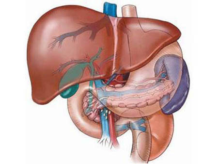 Các thuốc gây độc cho gan 1 Các thuốc gây độc cho gan 1