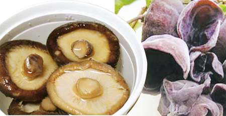 Chọn đồ khô an toàn 1 Chọn đồ khô an toàn 1