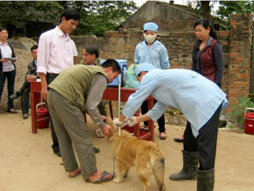 Tuyên chiến với bệnh dại ở huyện vùng cao 1 Tuyên chiến với bệnh dại ở huyện vùng cao 1