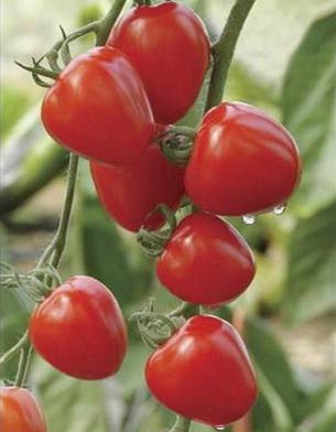 Thực phẩm giúp hạ huyết áp 2 Thực phẩm giúp hạ huyết áp 2