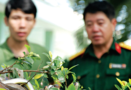 Xuân năm Tỵ về thăm “Vương quốc rắn” Đồng Tâm 1 Xuân năm Tỵ về thăm “Vương quốc rắn” Đồng Tâm 1