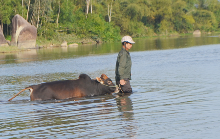 Ốc đảo “khát” cầu 2